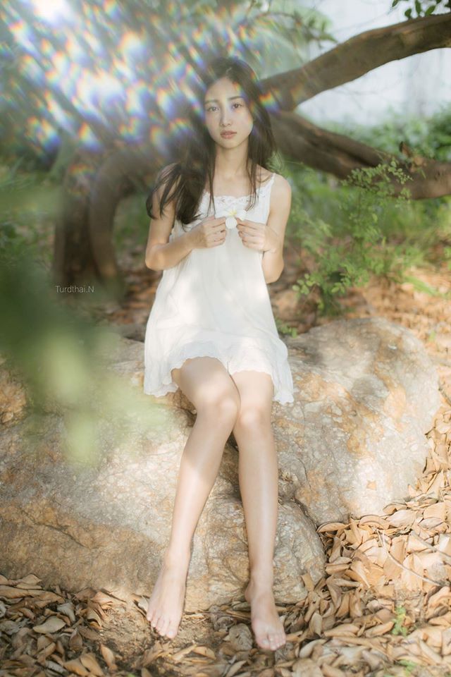 青云志电视剧免费观看全集完整版高清